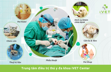 Đơn vị cung cấp dịch vụ thú y uy tín số #1 tại Việt Nam